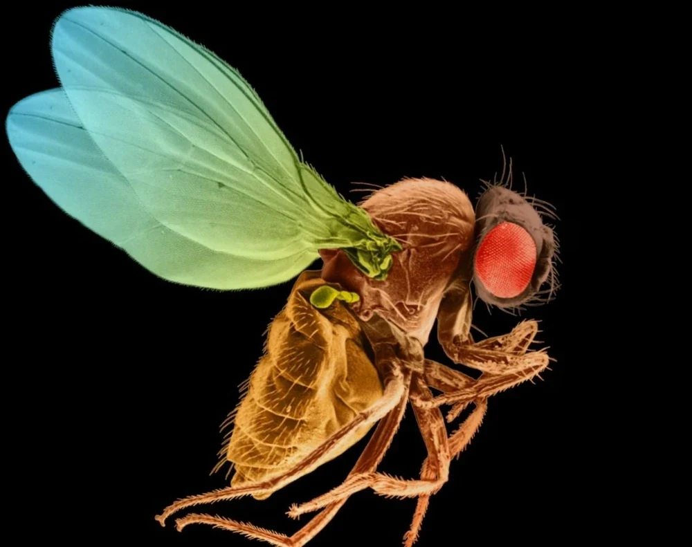 Sáu “khoảnh khắc” khoa học quan trọng trong năm 2024 sẽ định hình tương lai