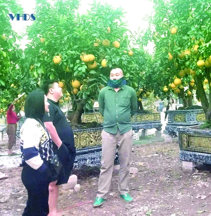 Chơi hoa, thuê hoa và “chở thuê mùa xuân”