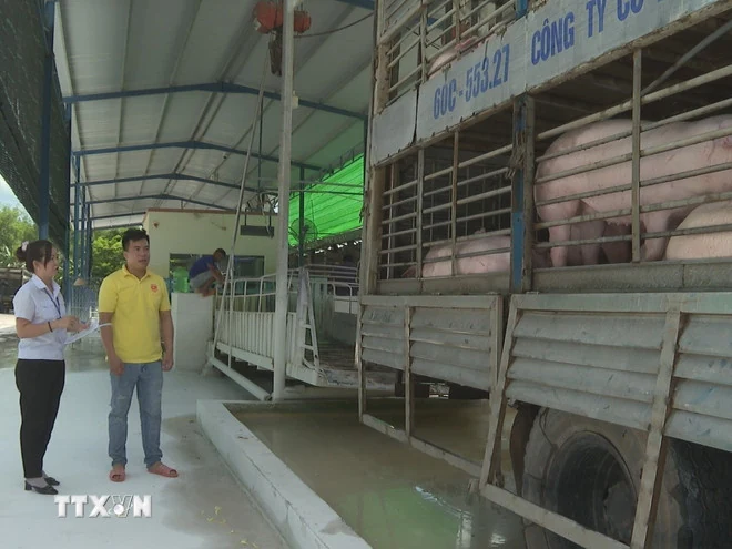 Giám sát dịch bệnh ngay tại cửa khẩu, không để xâm nhập, lây lan vào Việt Nam