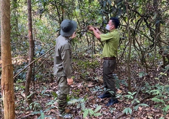 Chương trình quốc gia bảo tồn các loài động vật hoang dã nguy cấp, quý, hiếm