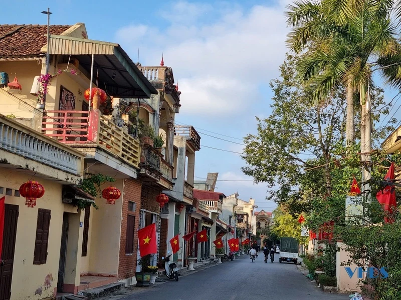 Cây nêu ngày Tết