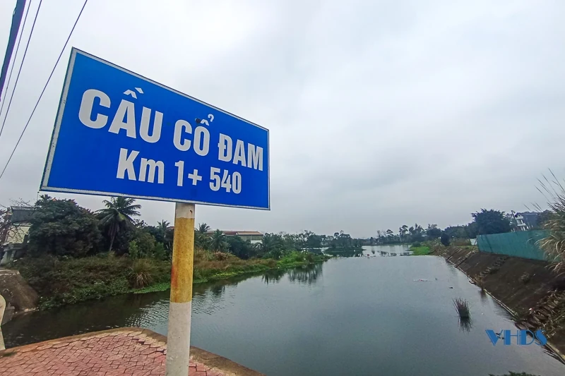 Cận cảnh tình trạng cá chết bất thường trên suối Cổ Đam