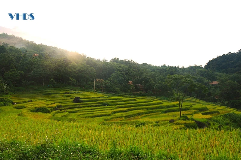 Trong mạch nguồn lịch sử - văn hóa ...