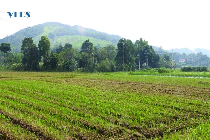 Tây Định vương Trịnh Tạc