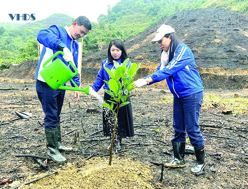 Tuổi trẻ và khát vọng...