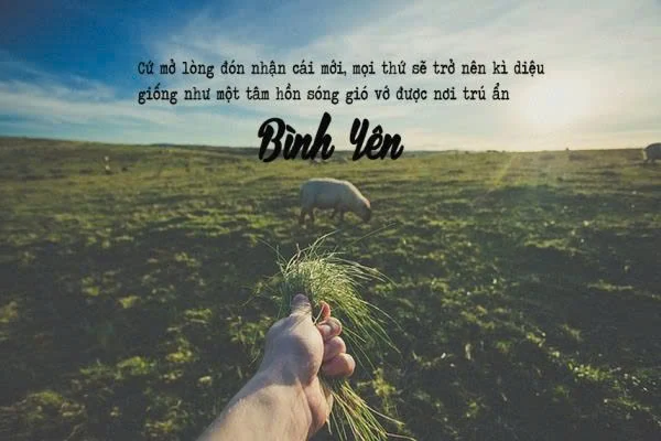 Giữ cho nhau một chốn bình yên