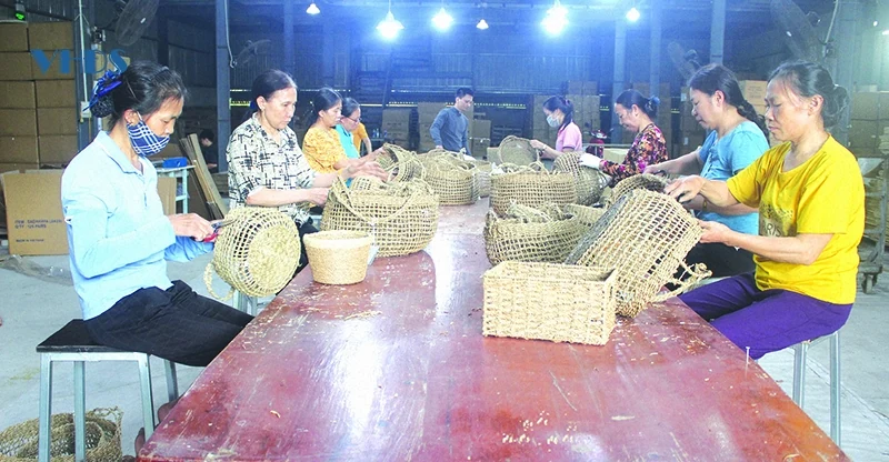 Nữ nghệ nhân đưa cói Việt ra thế giới