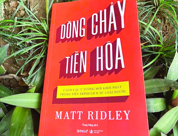 Tiến hóa diễn ra xung quanh chúng ta