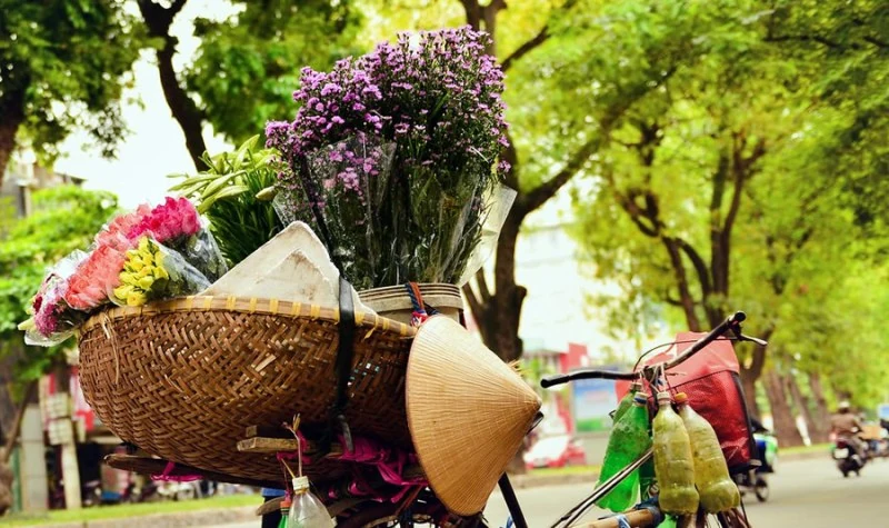 Chuyện ở quầy hoa