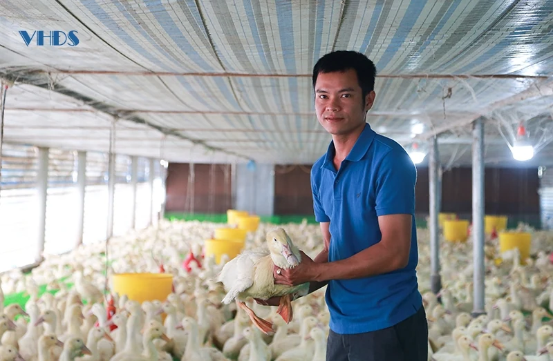 Đảng viên trẻ tiên phong phát triển kinh tế