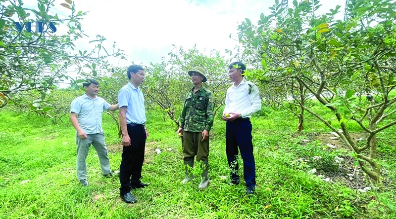 Biến đất cằn thành vùng quả ngọt