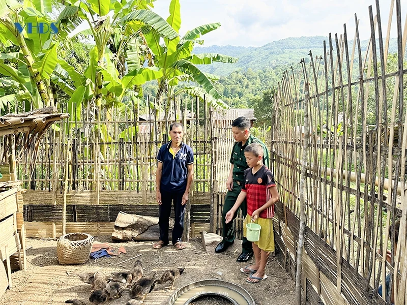 Ươm mầm xanh cho mùa quả ngọt