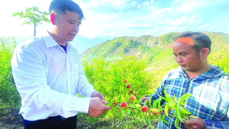 Trả lại bình yên (Bài 3): Tươi sáng