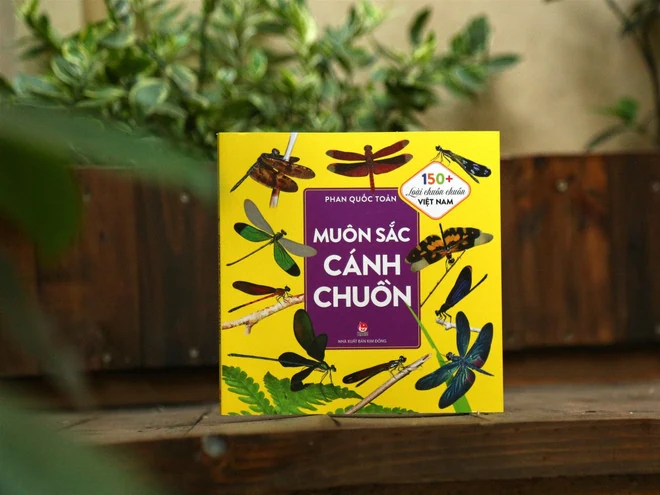 Mùa sách Hè 2025: Xuất bản các tác phẩm đoạt giải thưởng văn học thiếu nhi