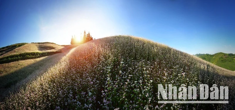 Chiến lược du lịch thích ứng trước thời điểm sáp nhập