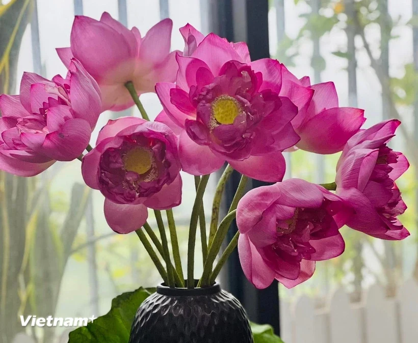 Những đặc sản ngon tuyệt, hấp dẫn chỉ có trong nắng Hè tháng 6