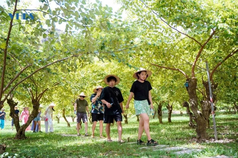 Làng du lịch Yên Trung: Điểm đến “giải nhiệt” mùa hè