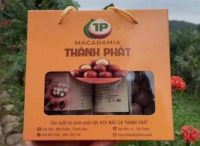 Đưa cây xứ người lên đất dốc