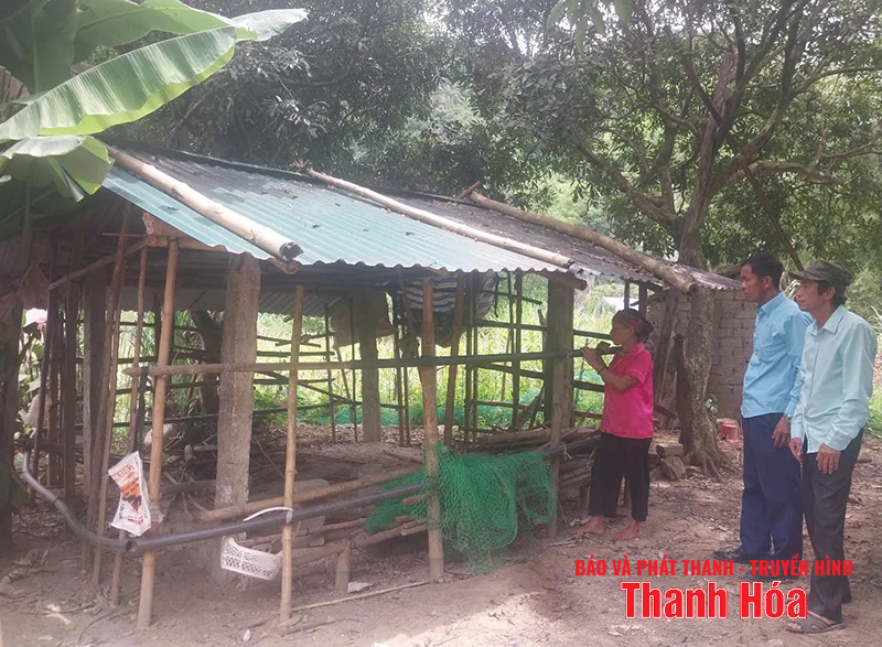 Chuyện kể từ Đồng Lách (Bài 2): Khát vọng thoát nghèo