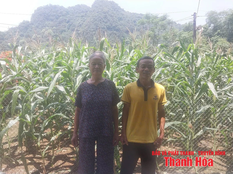 Có những mối tình như thế...