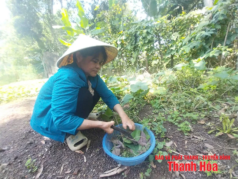 Có những mối tình như thế...