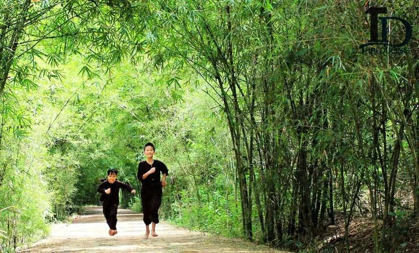 Tre làng xứ Thanh - Dáng đứng kiên cường