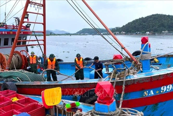 Hiểu rõ về cấp độ gió bão, áp thấp nhiệt đới