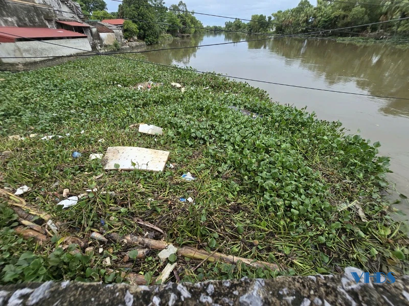 Đừng để dòng sông vọng lên lời kêu cứu