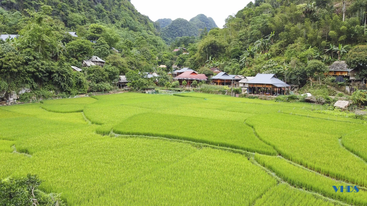 Kho Mường, bản làng heo hút phát triển kinh tế nhờ du lịch cộng đồng