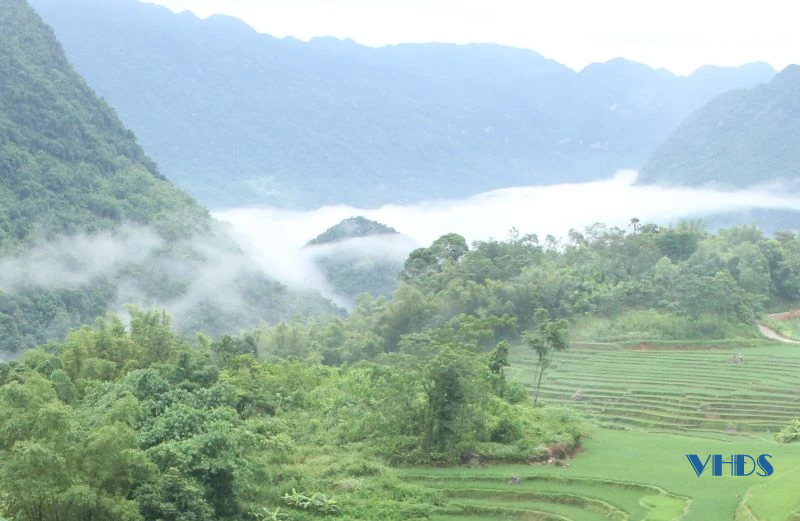 Xanh mướt lúa nương, bồng bềnh mây trắng