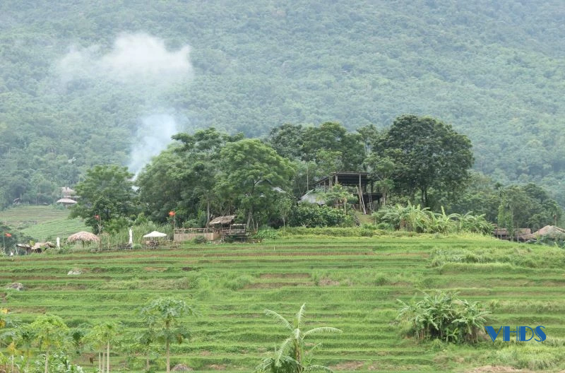 Xanh mướt lúa nương, bồng bềnh mây trắng