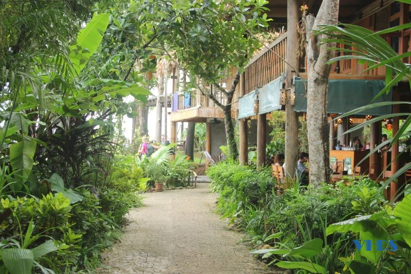 Xanh mướt lúa nương, bồng bềnh mây trắng