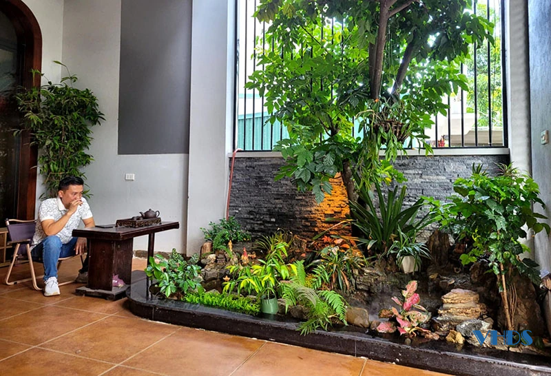 Không gian xanh trong nhà phố