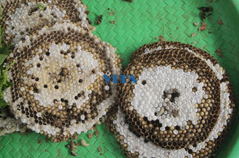 “Độc lạ” những món hàng chợ phiên vùng cao
