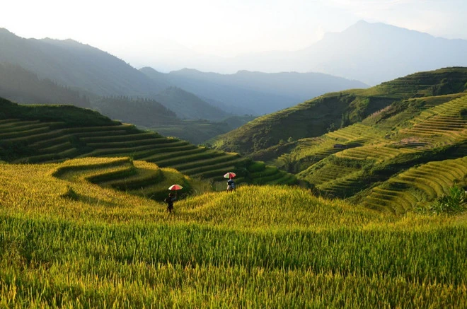 Sa Pa lọt vào top 8 điểm đến vùng núi và thị trấn nhỏ ở châu Á năm 2025