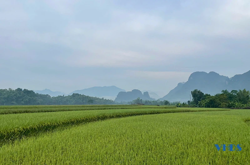 Lên thăm Mường Ai