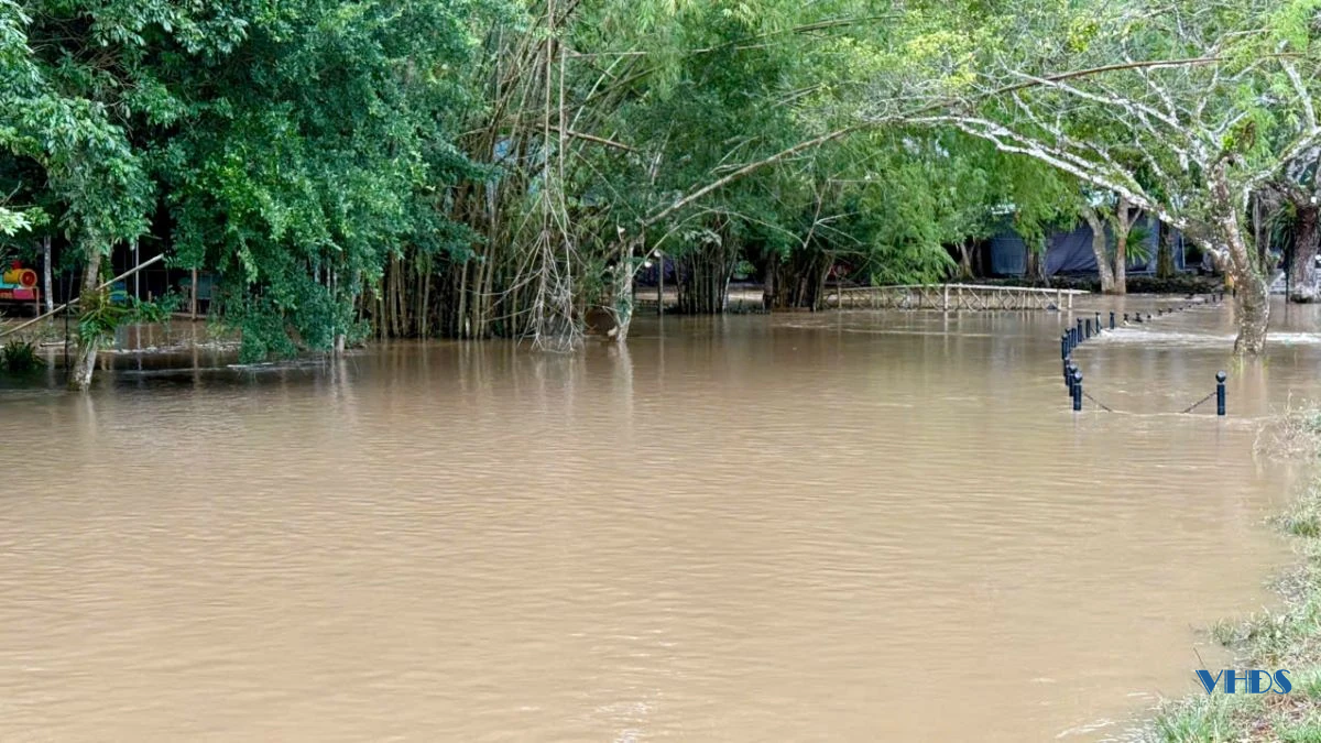 Khu du lịch suối cá Cẩm Lương ngập sâu trong nước