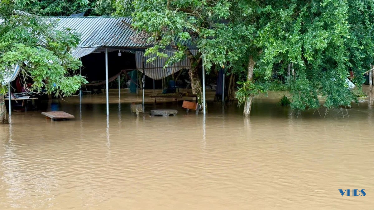 Khu du lịch suối cá Cẩm Lương ngập sâu trong nước