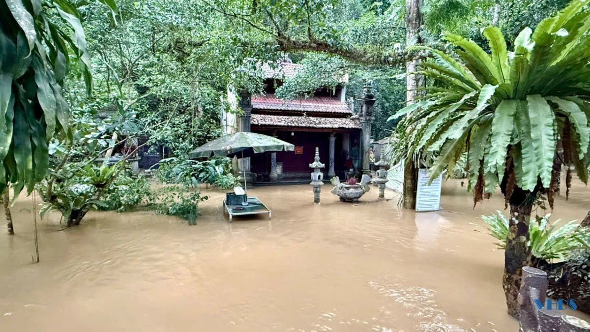 Khu du lịch suối cá Cẩm Lương ngập sâu trong nước