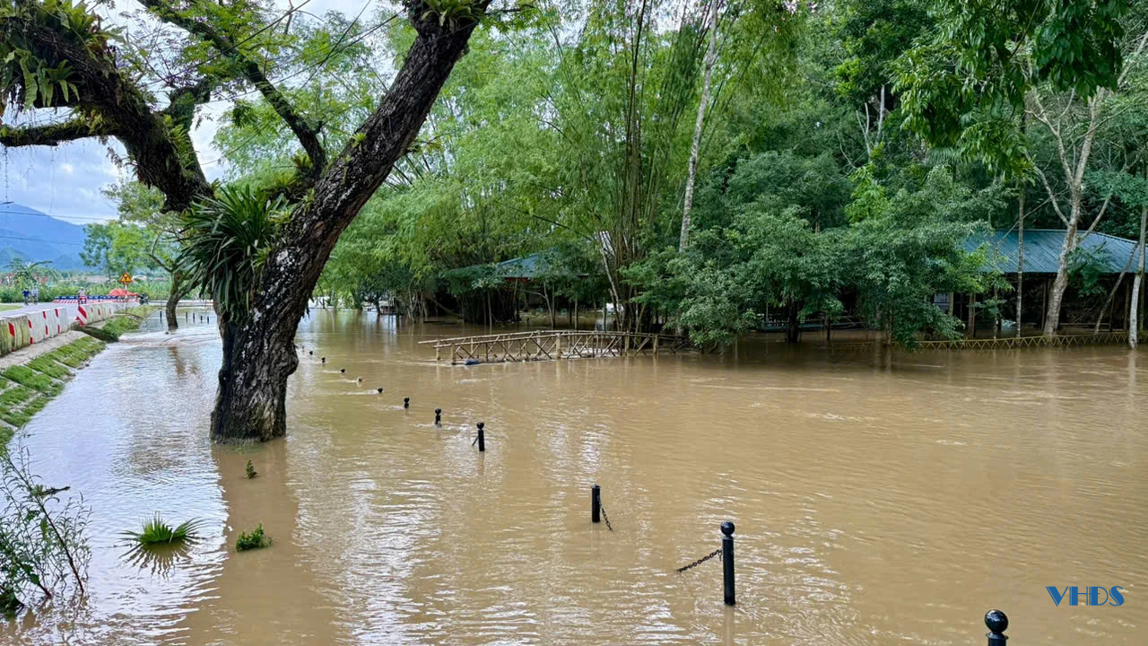 Khu du lịch suối cá Cẩm Lương ngập sâu trong nước