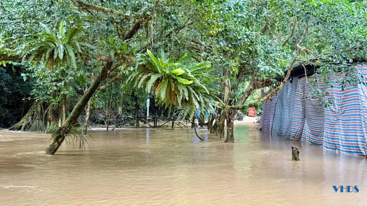 Khu du lịch suối cá Cẩm Lương ngập sâu trong nước