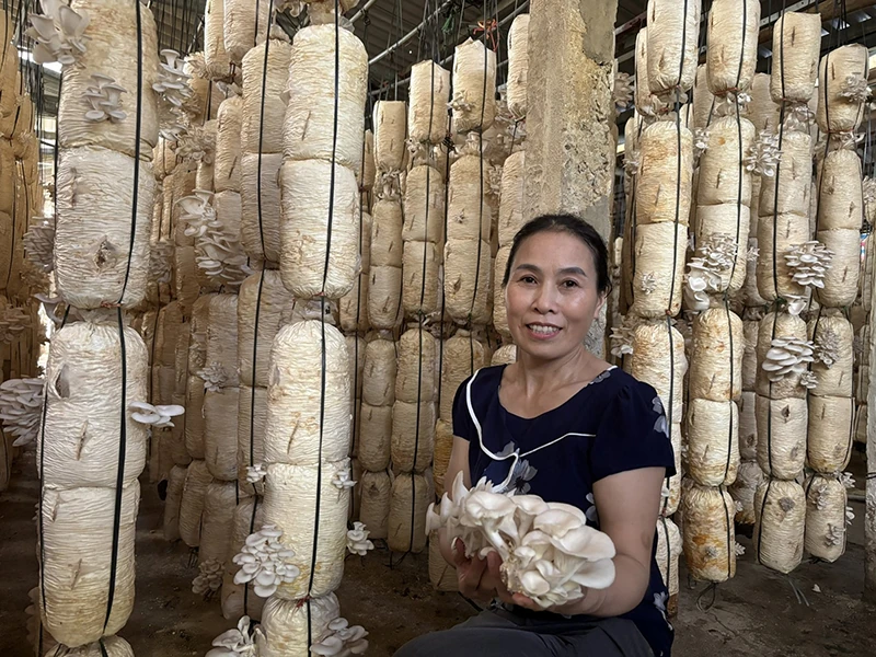 Phụ nữ xứ Thanh trên hành trình chuyển đổi số (Bài 2): Những người phụ nữ dám nghĩ, dám làm