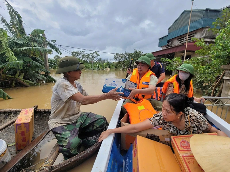 Vững vàng sau bão ....