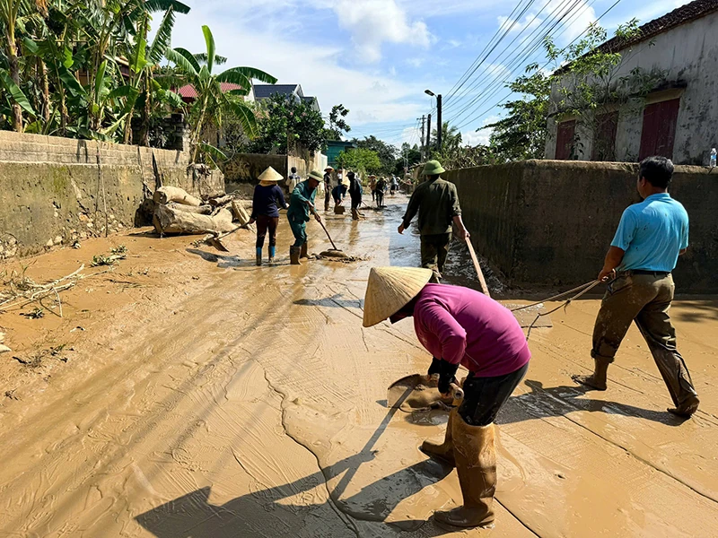 Vững vàng sau bão ....