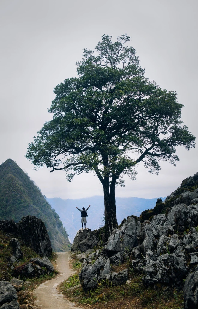 Điểm đến Việt Nam với “cú đúp” Giải thưởng thế giới Readers’ Choice Awards 2025