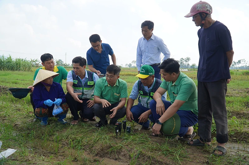 Đi qua ngày mưa bão (Bài 1): Những mùa xanh trở lại