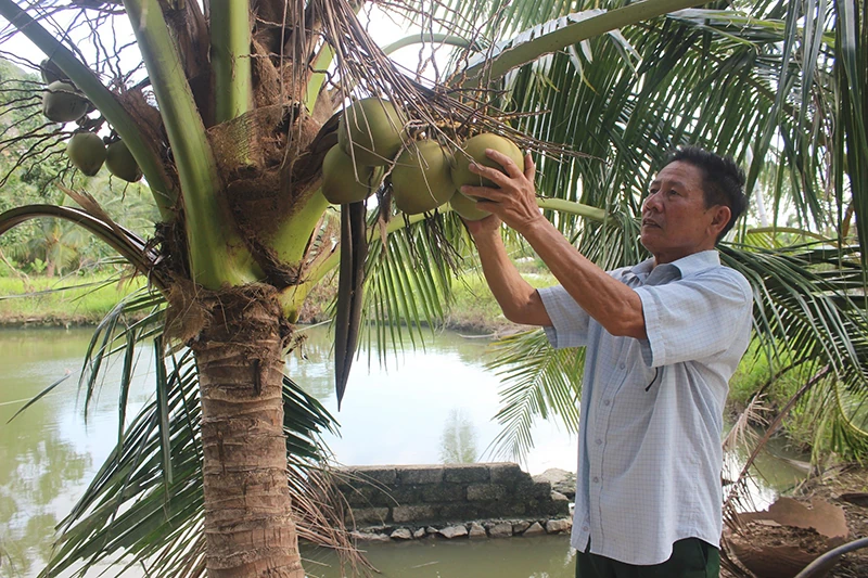 Người lính thời bình và khát vọng làm giàu trên những hố bom