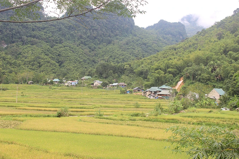 Lớt Dồi đã bớt khó khăn