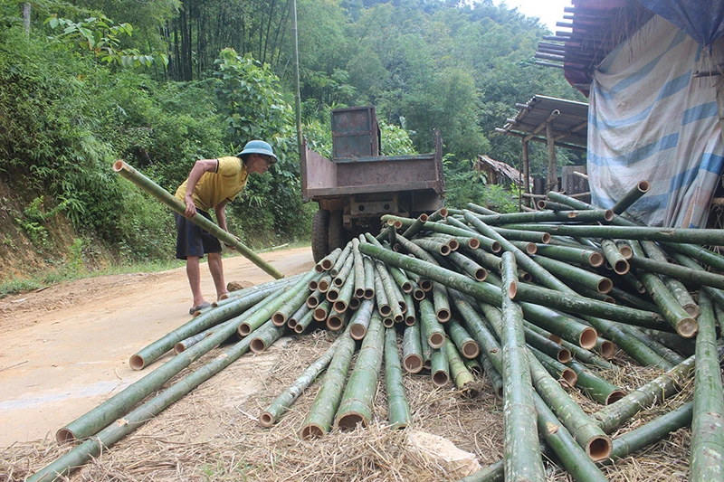Lớt Dồi đã bớt khó khăn