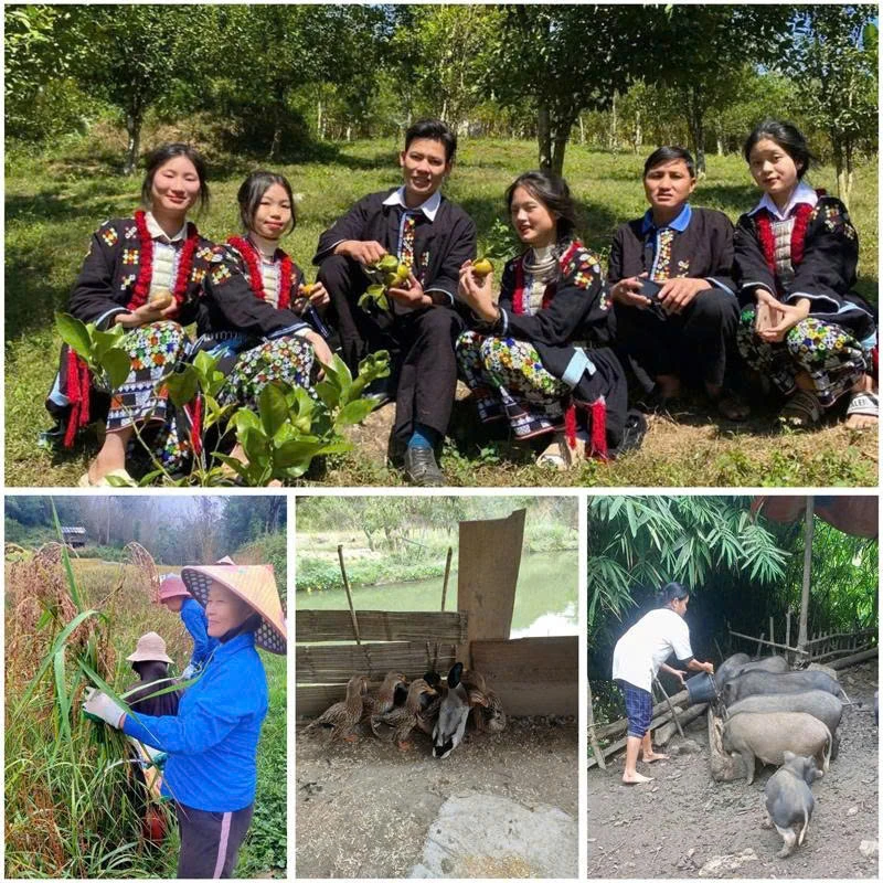 Trồng cây, nuôi con đặc sản: Hướng đi mới ở Quang Chiểu